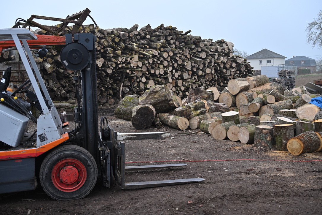 Bois issu des forêts françaises