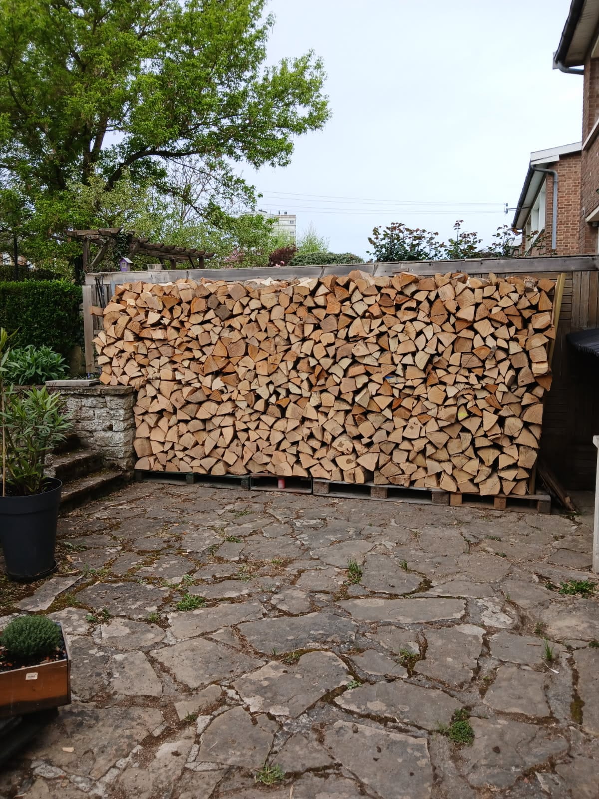 Bois rangé en extérieur sur palettes