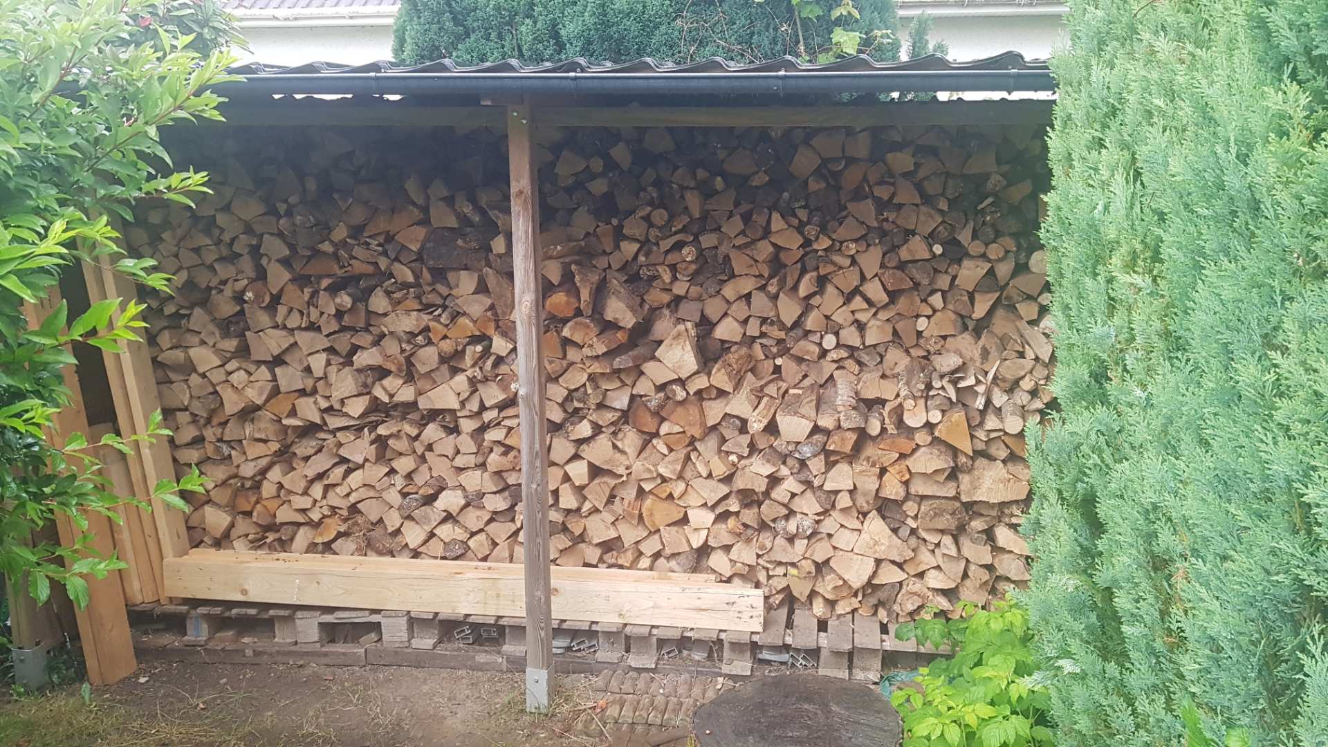Bois rangé sous abri