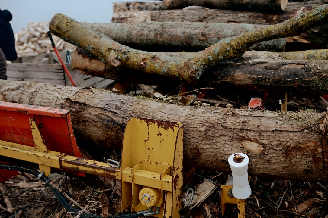 Grumes de bois brut