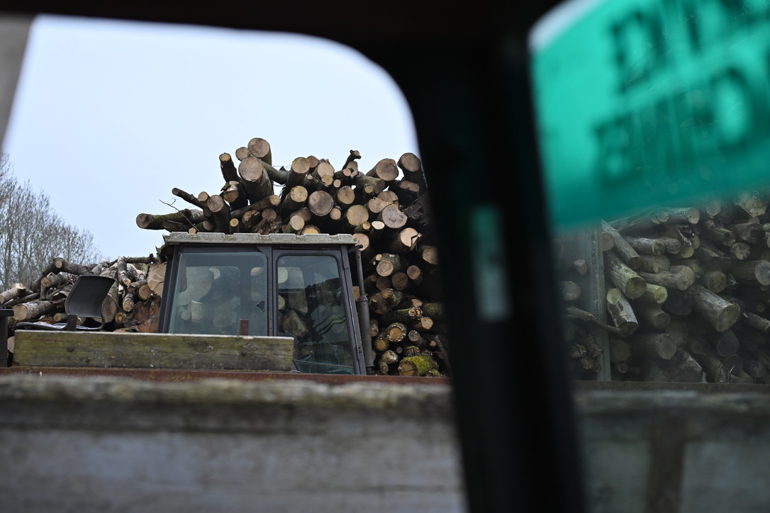 Forêt en hiver, approvisionnement
